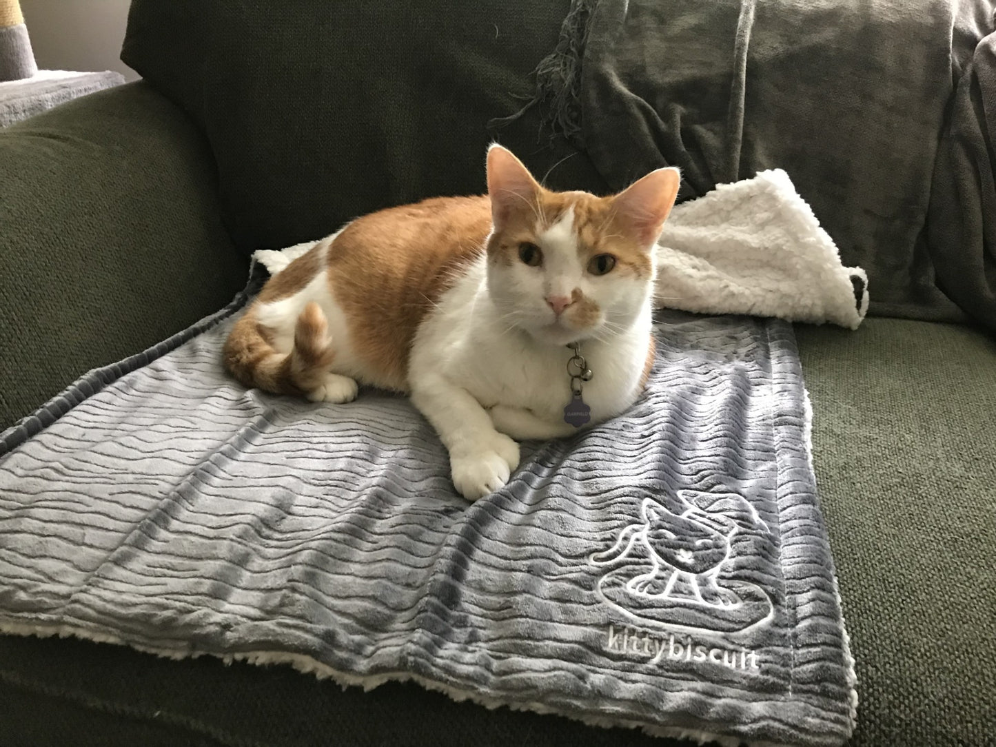 Kitty Biscuit Blanket