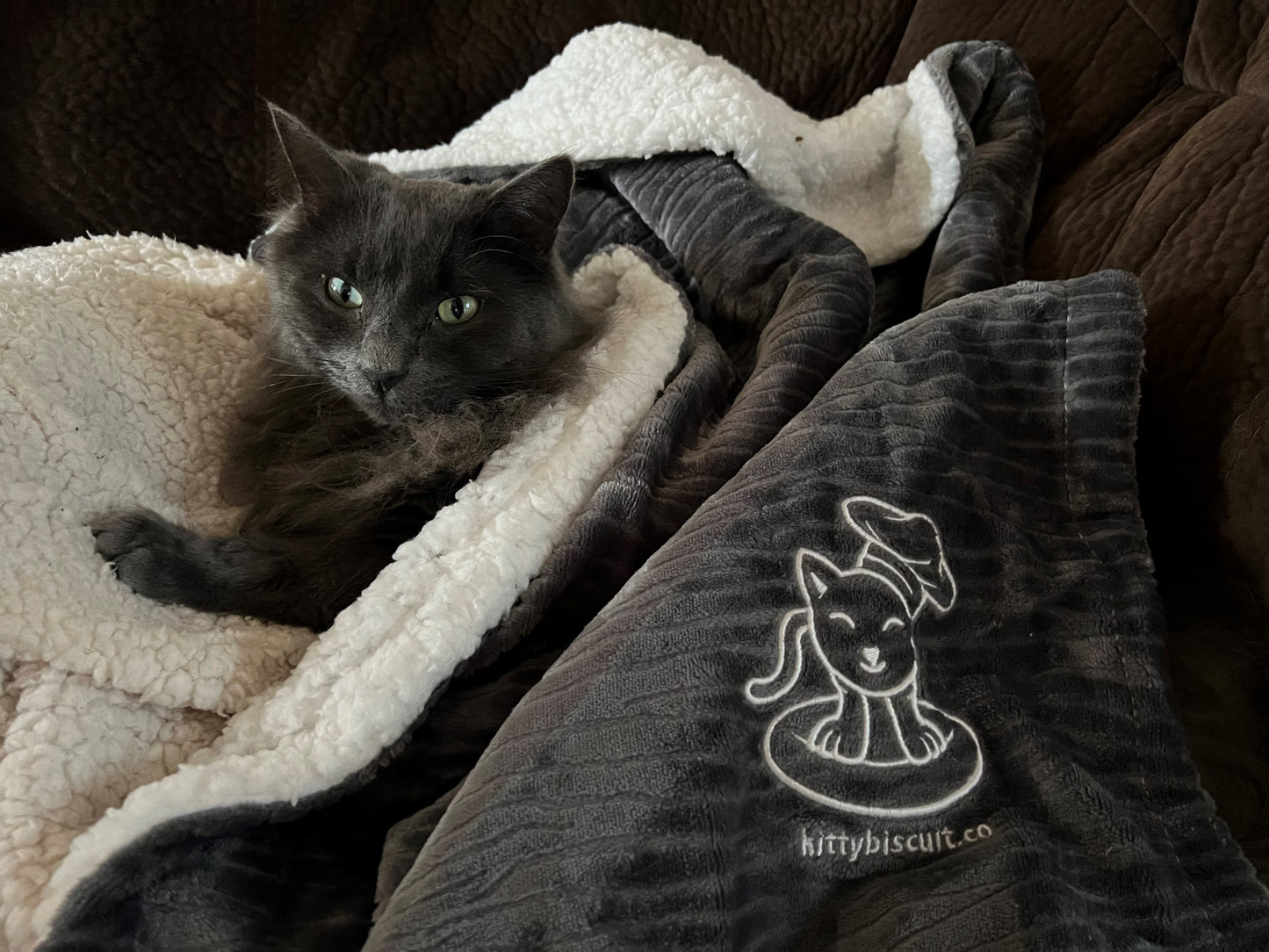 Kitty Biscuit Blanket