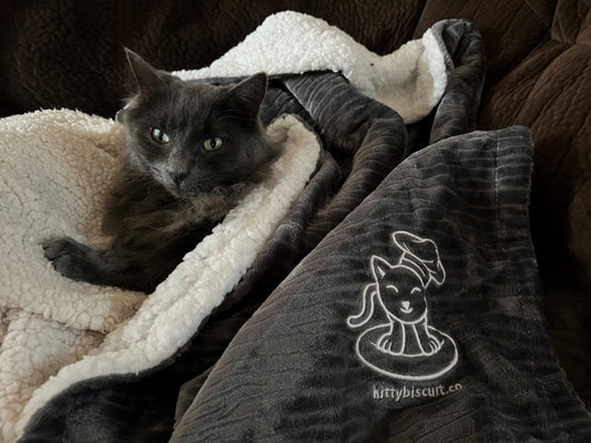 Kitty Biscuit Blanket
